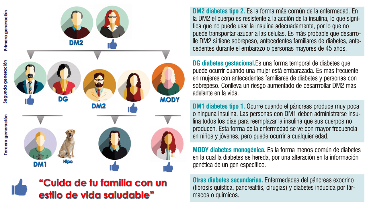 que es la diabetes tipo uno y dos